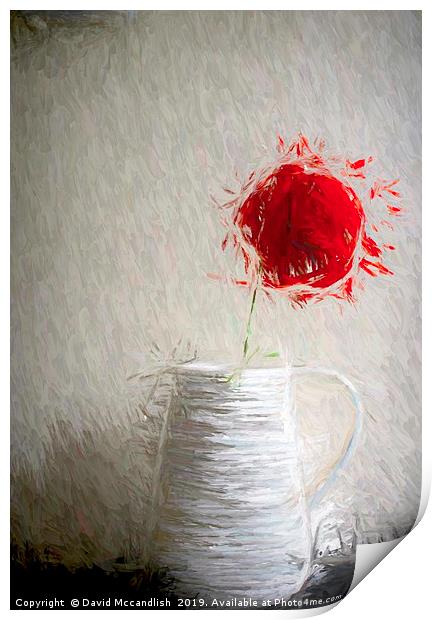  Single Red Poppy                               Print by David Mccandlish