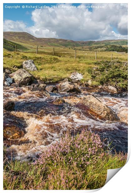 Over Blea Beck towards Cronkley Fell, Teesdale Print by Richard Laidler