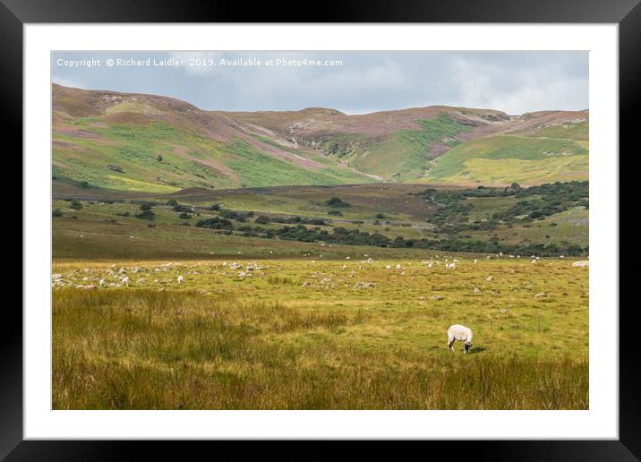 Towards Noon Hill & Cronkley Fell, Teesdale Framed Mounted Print by Richard Laidler