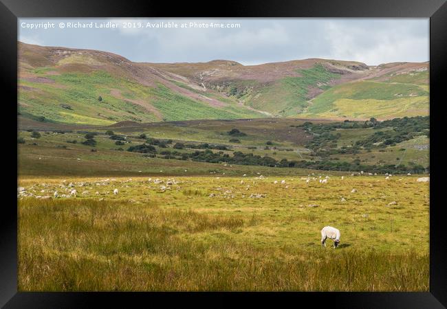 Towards Noon Hill & Cronkley Fell, Teesdale Framed Print by Richard Laidler