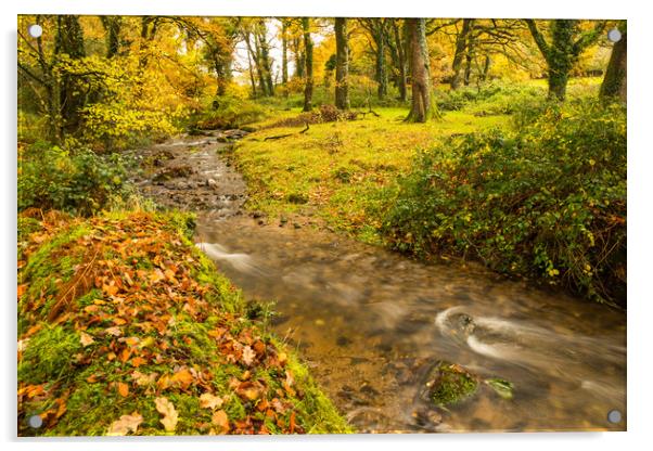 Autumn forest stream near Meavy on Dartmoor  Acrylic by Tony Twyman