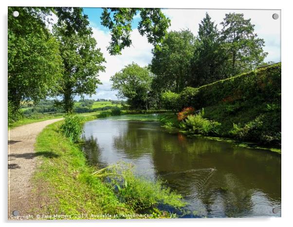 Canal Walk Acrylic by Jane Metters