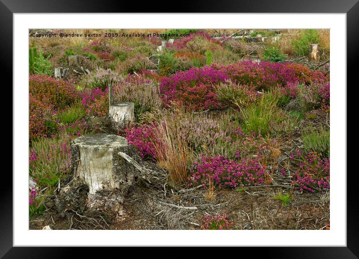 NEW AND OLD Framed Mounted Print by andrew saxton