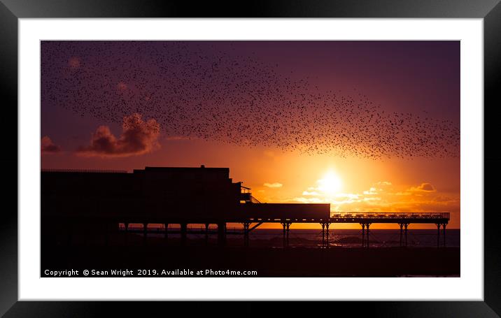 Murmuration  Framed Mounted Print by Sean Wright