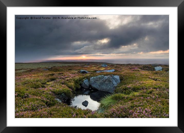 North Pennine Sunrise, Teesdale, County Durham, UK Framed Mounted Print by David Forster