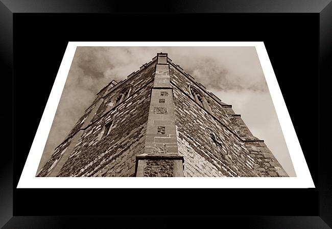 Looking up Framed Print by Ashley Paddon