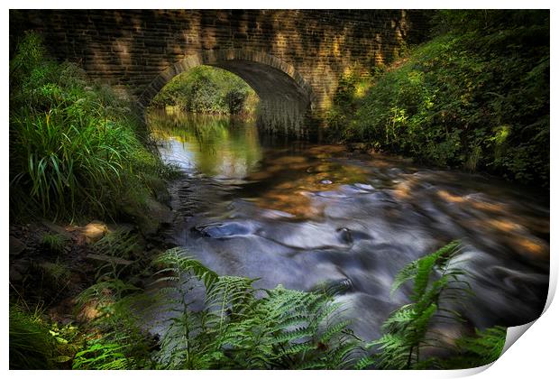 Bridge over the Afon Llan river Print by Leighton Collins