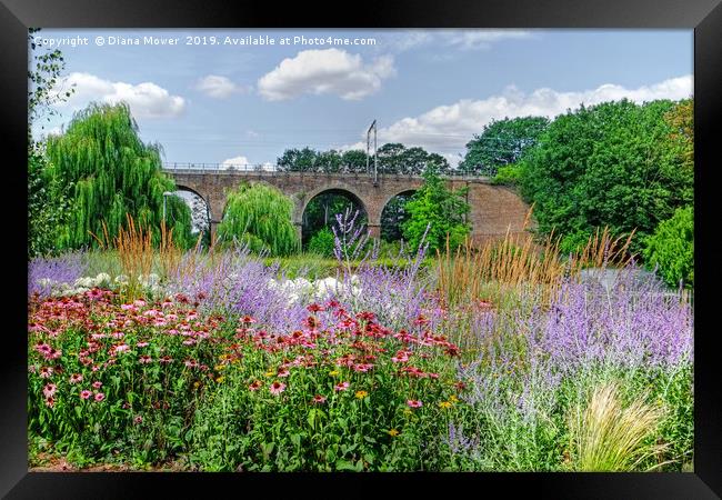 Chelmsford Central Park Summer Gardens Framed Print by Diana Mower