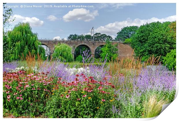 Chelmsford Central Park Summer Gardens Print by Diana Mower
