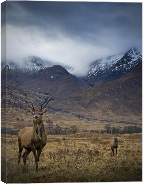 Sron na Creise from Glen Etive Canvas Print by David Mould