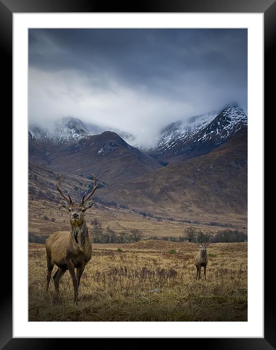 Sron na Creise from Glen Etive Framed Mounted Print by David Mould