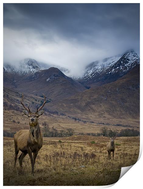 Sron na Creise from Glen Etive Print by David Mould