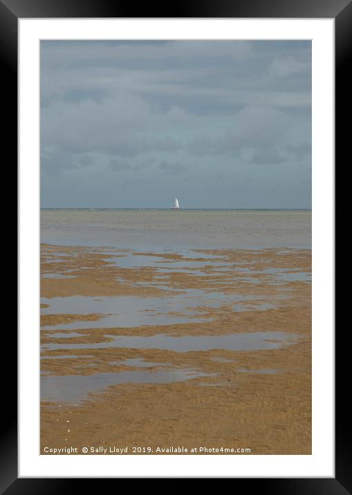 White Sail on the Horizon Framed Mounted Print by Sally Lloyd