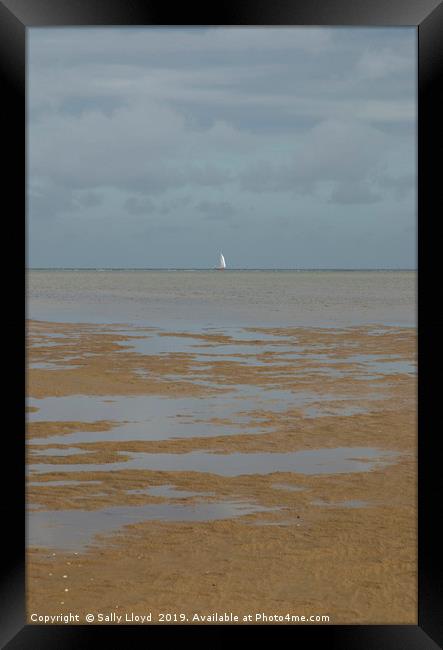 White Sail on the Horizon Framed Print by Sally Lloyd
