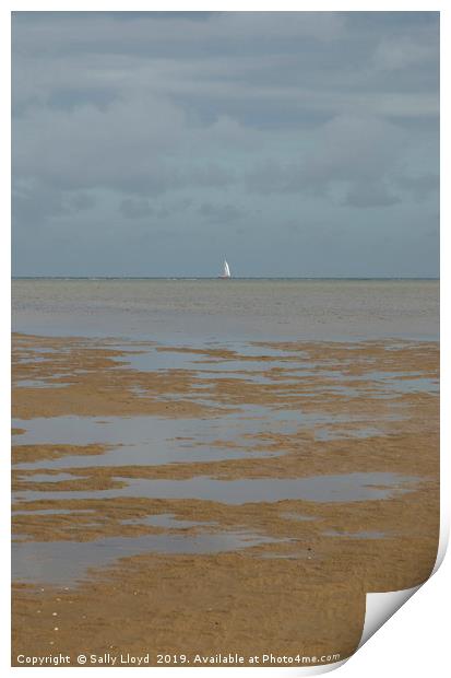 White Sail on the Horizon Print by Sally Lloyd