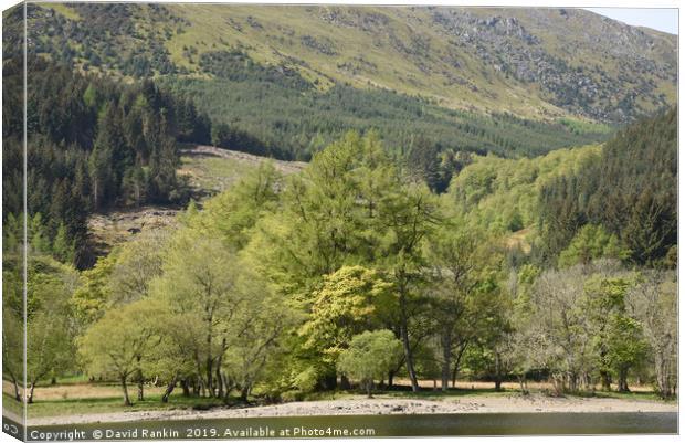 Loch Lubnaig, near Callendar in the Highlands of S Canvas Print by Photogold Prints