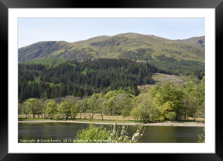 trees on the shore of Loch Lubnaig, near Callendar Framed Mounted Print by Photogold Prints