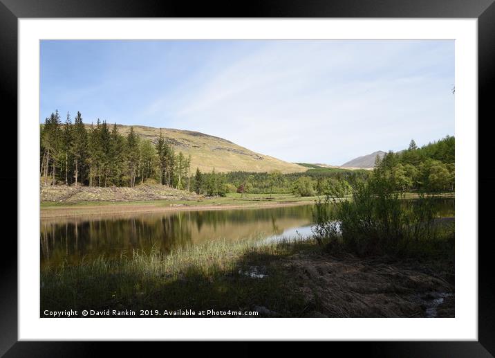 fir trees on the shore of Loch Lubhair ,  the High Framed Mounted Print by Photogold Prints