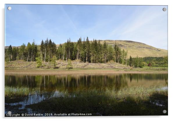 Loch Lubnaig in the Highlands of Scotland Acrylic by Photogold Prints