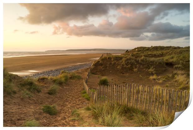 Northam Burrows nature reserve at Westward Ho! Print by Tony Twyman