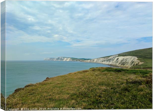Compton Bay, Isle of Wight Canvas Print by Ellis Lynas