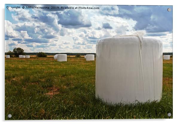 White Bales On The Field Acrylic by Jukka Heinovirta