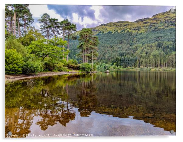 Scotland Loch Eck Acrylic by Ellis Lynas