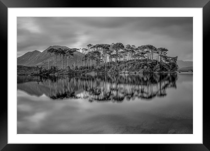 Pine Island Framed Mounted Print by Jed Pearson