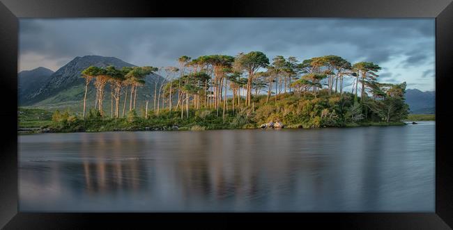 Side Light At Sunset Framed Print by Jed Pearson