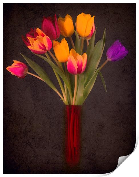 Tulips Print by Andrew Stevens