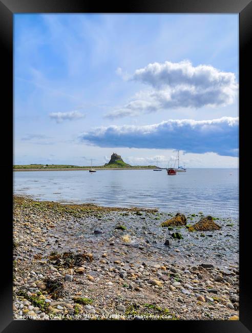 Lindisfarne Castle from across the harbour Framed Print by David Smith