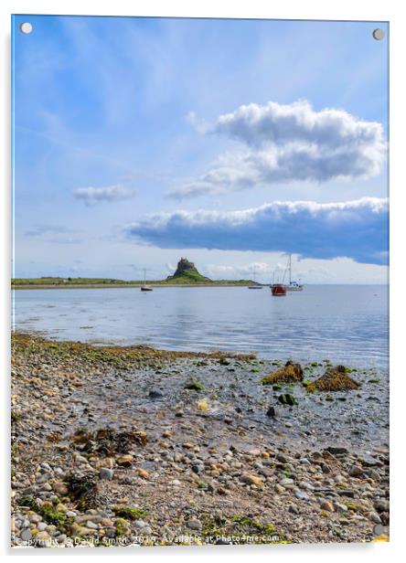 Lindisfarne Castle from across the harbour Acrylic by David Smith