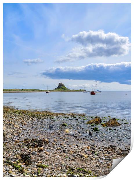 Lindisfarne Castle from across the harbour Print by David Smith