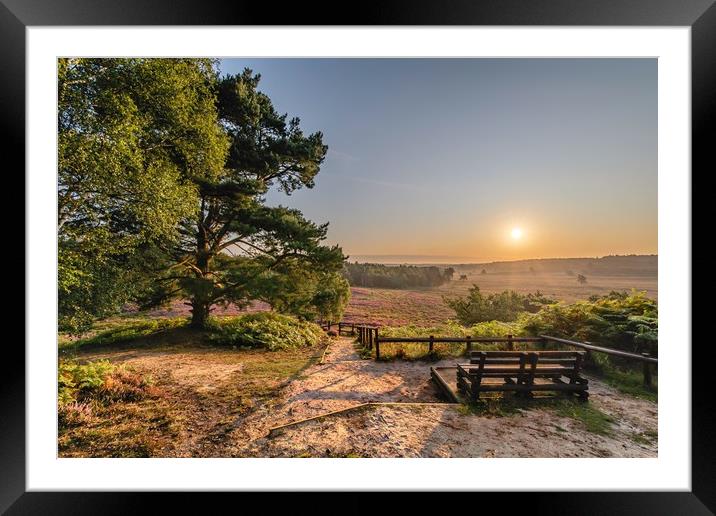 Sunrise over Wolferton Fen and Dersingham bog Framed Mounted Print by Gary Pearson