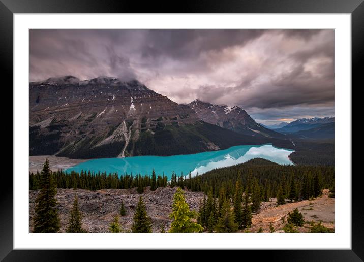 Peyto Lake, Alberta Framed Mounted Print by Sandra Kepkowska