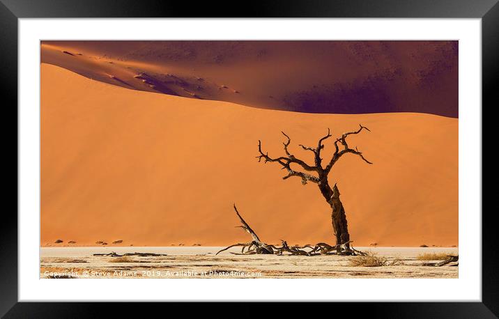 Dead Tree at Deadvlei, Namibia Framed Mounted Print by Steve Adams