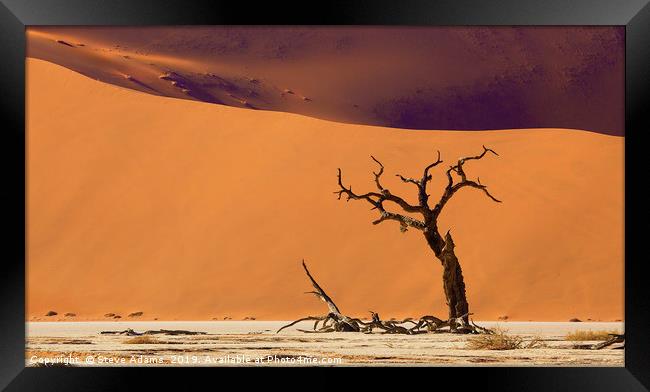 Dead Tree at Deadvlei, Namibia Framed Print by Steve Adams
