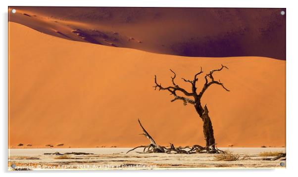 Dead Tree at Deadvlei, Namibia Acrylic by Steve Adams