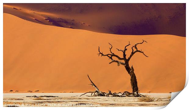 Dead Tree at Deadvlei, Namibia Print by Steve Adams