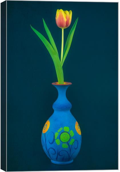 Tulip in Blue Vase Canvas Print by Andrew Stevens