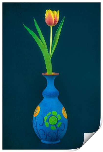 Tulip in Blue Vase Print by Andrew Stevens
