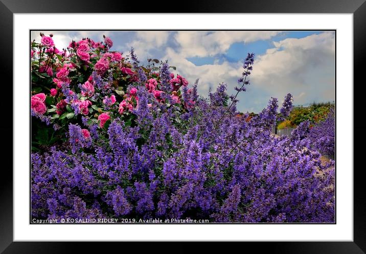 "Lavender and Roses" Framed Mounted Print by ROS RIDLEY