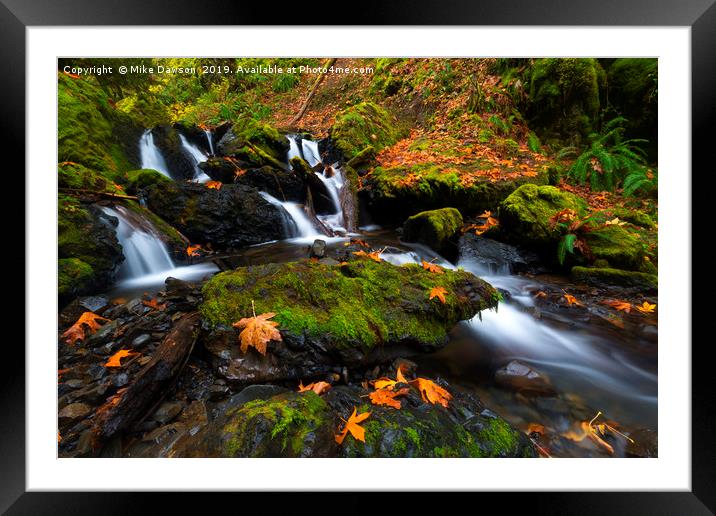 Fallen along the Way Framed Mounted Print by Mike Dawson