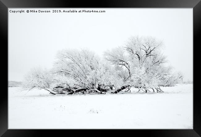 Frosted White Framed Print by Mike Dawson