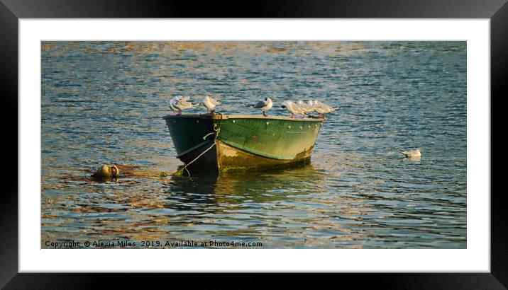  Fishing Boat and seabird Framed Mounted Print by Alexia Miles