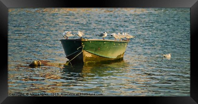  Fishing Boat and seabird Framed Print by Alexia Miles