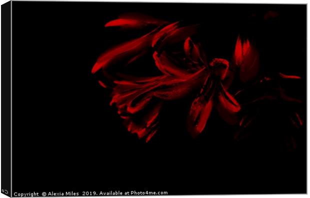 Red and Black Canvas Print by Alexia Miles