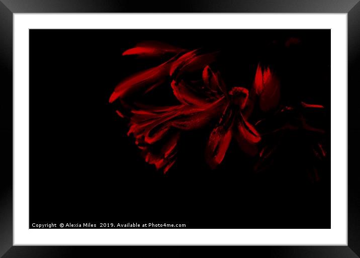 Red and Black Framed Mounted Print by Alexia Miles