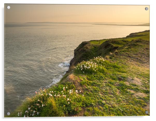 The rugged coast path at Westward Ho in Devon Acrylic by Tony Twyman