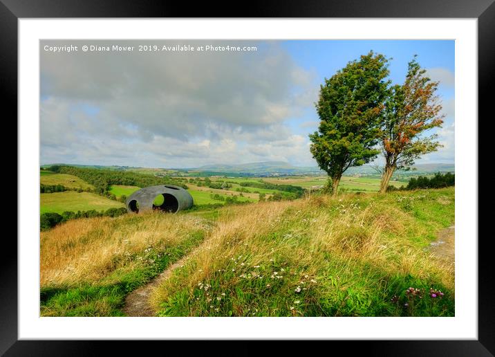 Wycoller Country Park Pendle Framed Mounted Print by Diana Mower